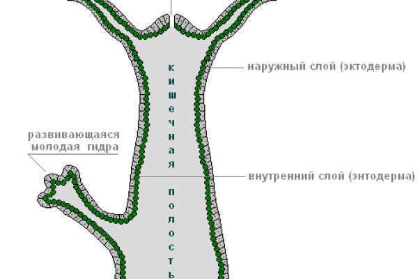 Зайти кракен через тор