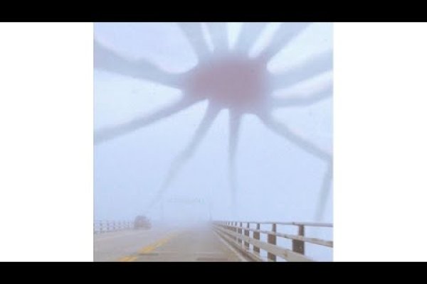Kraken krn
